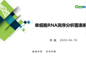 【陈巍学基因】单细胞RNA测序分析图表解读