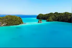 扫帚不到，灰尘照例不会自我跑掉。——毛泽东视频封面