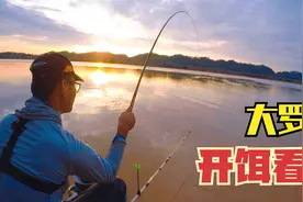 钓鱼人心心念念的大罗非，夜间野钓冻饵开法看漂抓口技巧视频封面