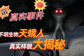 十大未知生物之谜：1967年银桥天蛾人事件！视频封面