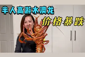 澳龙价格暴跌，半人高，姜葱龙虾伊面吃起来，做法简单，一看就会视频封面