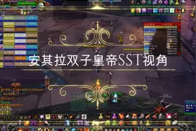 魔兽世界怀旧服：安其拉双子皇子SST第一视角