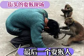 街头耍猴人，卖力耍猴反被猴耍，一代人的回忆手艺即将消失视频封面