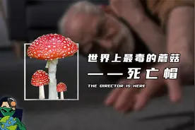 世界上最毒的蘑菇——死亡帽视频封面