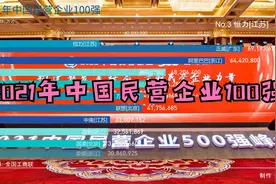2021年中国民营企业100强，看看你都知道哪些？冠军企业实至名归视频封面