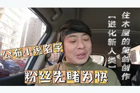 写小说也可以赚钱，有问必答，公布番茄小说名字，让粉丝先睹为快