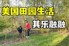 美国田园生活：白天砍竹子，晚上去婆婆家聚餐~视频封面