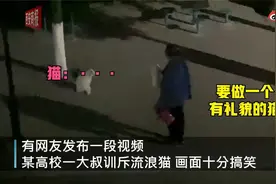 高校大叔拎热水壶训斥流浪猫 ，网友：高校的猫要求也好严格