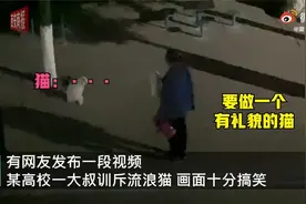 高校大叔拎热水壶训斥流浪猫 ，网友：高校的猫要求也好严格