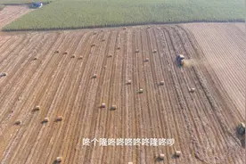 广西就要逐步告别人工砍甘蔗的历史，全机械化种植收割甘蔗不是梦视频封面