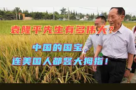 国士无双！袁隆平先生有多伟大？中国的国宝，连美国人都服了！视频封面