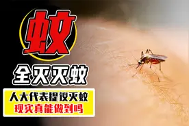全面消灭蚊子现实吗？如果我们灭绝了蚊子，世界会发生什么变化？视频封面