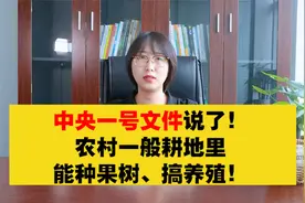 中央一号文件说了！农村一般耕地里，能种果树、搞养殖！视频封面