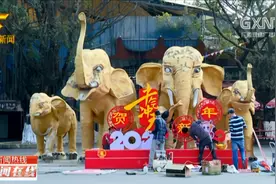 南宁市动物园部分场馆关闭？ 园方：是布置园区迎新年视频封面