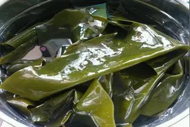 泡海带时，记住别只用清水，老厨师教我个窍门，8分钟泡软无腥味视频封面