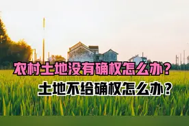 农村土地没有确权怎么办？土地不给确权怎么办？视频封面