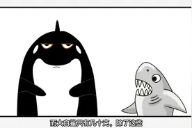 虎鲸为什么被称为“海上街溜子”，王八晒个太阳都要被它甩一巴掌视频封面