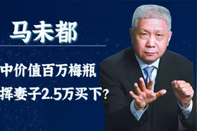 马未都拍卖会不敢露面？"幕后"指挥妻子，花2.5万捡漏百万梅瓶视频封面
