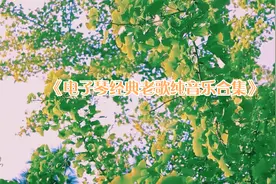 回忆经典老歌，25首电子琴纯音乐串烧，循环一整天也听不够！