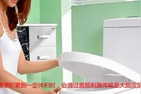 上厕所我们需要注意什么视频封面