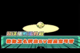 口袋妖怪究极绿宝石5（30）超详细孵蛋教程，教你怎么孵出6V精灵