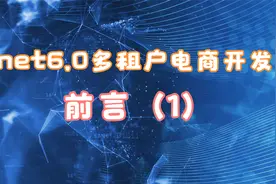 net6.0 webapi 多租户电商开发----前言(1)视频封面