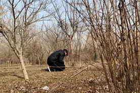 山东一处遗址，发现5200年前开颅手术存活者，小伙探访找到宝贝视频封面