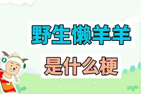 野生懒羊羊是什么梗？