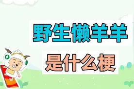 野生懒羊羊是什么梗？