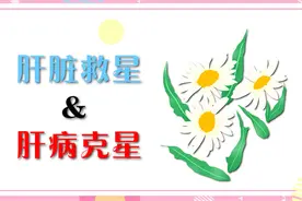 肝脏“救星”来了，敞开吃使劲吃，让肝脏变为真正的净化工厂视频封面