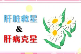 肝脏“救星”来了，敞开吃使劲吃，让肝脏变为真正的净化工厂视频封面