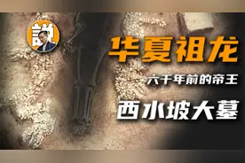 六千年前的中华第一龙？西水坡大墓远没有这么简单#历史大玩家#视频封面