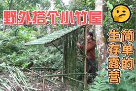 野外搭个小竹屋，简单的生存露营视频封面