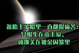 备胎王子哈里一直都很痛苦：只恨生在帝王家，就像关在镀金囚笼里视频封面