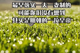 最早落实一夫一妻制的，可能你们没有想到，其实是明朝的一位皇帝视频封面