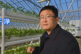 观赏种菜两不误，阳台种菜更合适，干净又简单视频封面