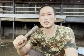 农民自己设计规模化羊舍，经过多次改进和优化，小羊也能住上楼房视频封面