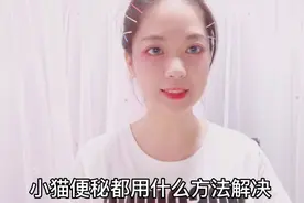 小猫便秘用什么方法解决视频封面