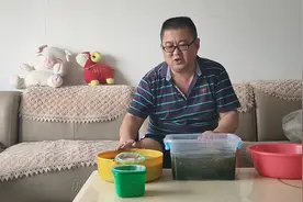 鱼缸水绿怎么办？别多想了，只有一个简单的方法，赶紧给鱼缸换水视频封面