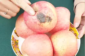 把烂苹果放锅里煮一煮，别提多厉害了，可惜还有很多人不知道视频封面