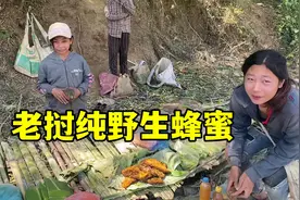 老挝路边小摊，野生蜂蜜太纯了，寄回国五百斤，要不然全都买下！视频封面