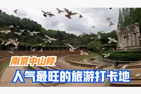 南京中山陵的神道为什用植物代替了古代帝王惯用的石人石兽排列？视频封面