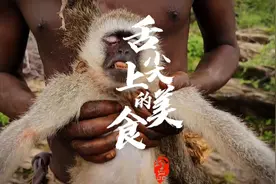 非洲美食猴子宴视频封面
