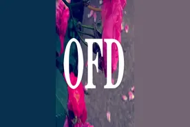 PFD电子发票如何打开？