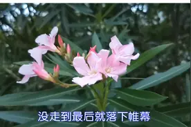 新歌！倪尔萍一首《落幕》句句走心，催人泪下！