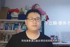 什么是下丘脑-垂体-性腺轴？