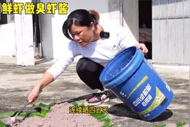 虾酱最传统的的制作方法，闻起来奇臭无比，但吃上一口就能上瘾