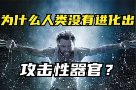 为什么人类，没有进化出明显攻击器官？视频封面