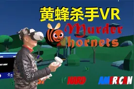 VR游戏黄蜂杀手