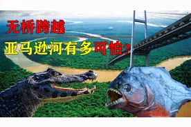 亚马逊河有多可怕？为何没有桥梁跨越？甚至无人敢下河游泳视频封面